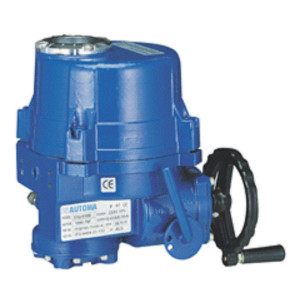 Bộ Tác Động Điện 24VDC ATM0020 Automa